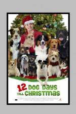Watch 12 Dog Days of Christmas 2KMovies