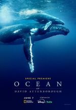 Watch Ocean with David Attenborough 2KMovies