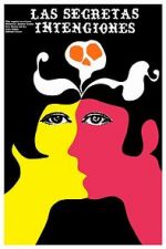 Watch Secret Intentions 2KMovies