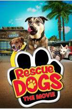 Watch Rescue Dogs 2KMovies