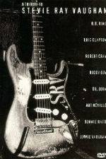 Watch A Tribute to Stevie Ray Vaughan 2KMovies