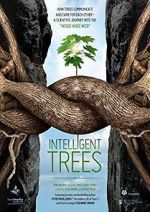 Watch Intelligent Trees 2KMovies