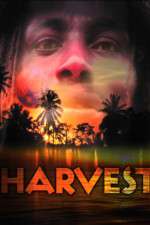 Watch Harvest 2KMovies