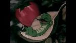 Watch The Wacky Worm (Short 1941) 2KMovies
