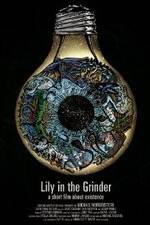 Watch Lily in the Grinder 2KMovies
