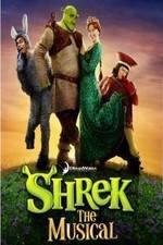 Watch Shrek the Musical 2KMovies