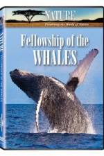 Watch Fellowship Of The Whales 2KMovies