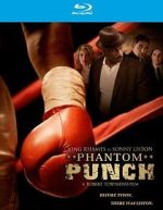 Watch Phantom Punch 2KMovies