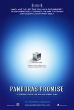 Watch Pandora\'s Promise 2KMovies