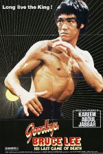 Watch Goodbye Bruce Lee: His Last Game of Death 2KMovies