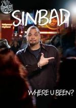 Watch Sinbad: Where U Been? 2KMovies