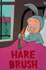 Watch Hare Brush (Short 1955) 2KMovies