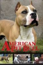 Watch American Pit Bull 2KMovies