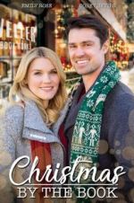 Watch Matchmaker Christmas 2KMovies