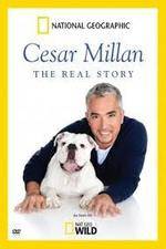 Watch Cesar Millan: The Real Story 2KMovies