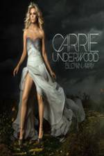 Watch Carrie Underwood: The Blown Away Tour Live 2KMovies
