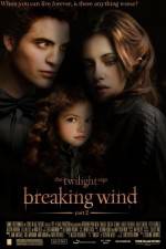 Watch Breaking Wind 2KMovies