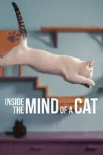 Watch Inside the Mind of a Cat 2KMovies
