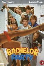 Watch Bachelor Party 2KMovies