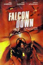 Watch Falcon Down 2KMovies