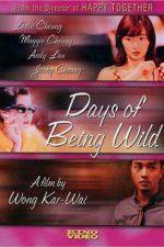 Watch Days of Being Wild 2KMovies