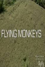 Watch Winged Terror 2KMovies