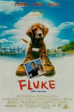 Watch Fluke 2KMovies