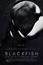 Watch Blackfish 2KMovies