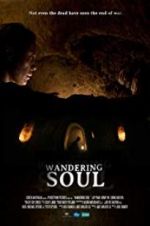 Watch Wandering Soul 2KMovies