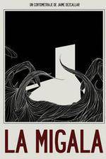 Watch The Bird Spider 2KMovies