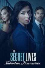 Watch The Secret Lives of Suburban Housewives 2KMovies