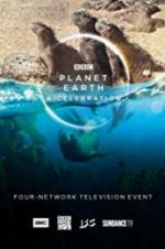 Watch Planet Earth: A Celebration 2KMovies