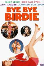 Watch Bye Bye Birdie 2KMovies