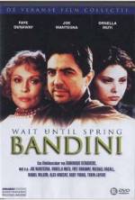 Watch Wait Until Spring, Bandini 2KMovies