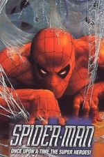 Watch De Superman  Spider-Man: L\'aventure des super-hros 2KMovies