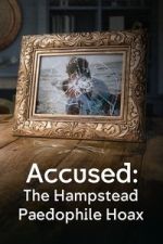 Watch Accused: The Hampstead Paedophile Hoax 2KMovies