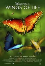 Watch Disneynature: Wings of Life 2KMovies