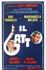 Watch Il gatto 2KMovies