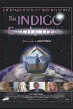 Watch The Indigo Evolution 2KMovies
