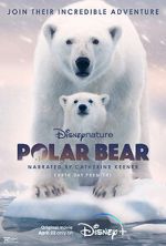 Watch Polar Bear 2KMovies