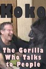 Watch Koko: The Gorilla Who Talks to People 2KMovies