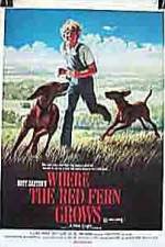 Watch Where the Red Fern Grows 2KMovies