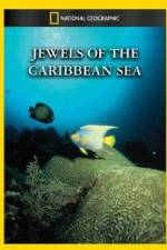 Watch National Geographic Jewels of the Caribbean Sea 2KMovies