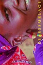 Watch Reassemblage: From the Firelight to the Screen 2KMovies