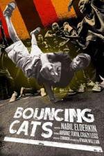Watch Bouncing Cats 2KMovies