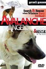 Watch Avalanche Angels 2KMovies