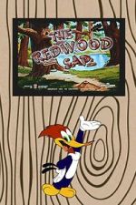 Watch The Redwood Sap (Short 1951) 2KMovies