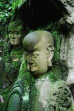 Watch The Thousand Years Old Man 2KMovies