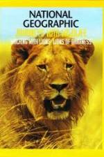 Watch National Geographic:  Walking with Lions 2KMovies
