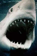 Watch Sharkmania: The Top 15 Biggest Baddest Bloodiest Bites 2KMovies